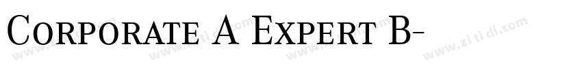 Corporate A Expert B字体转换